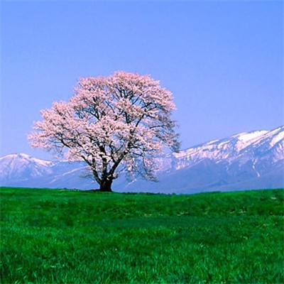 富贵山海经游戏下载